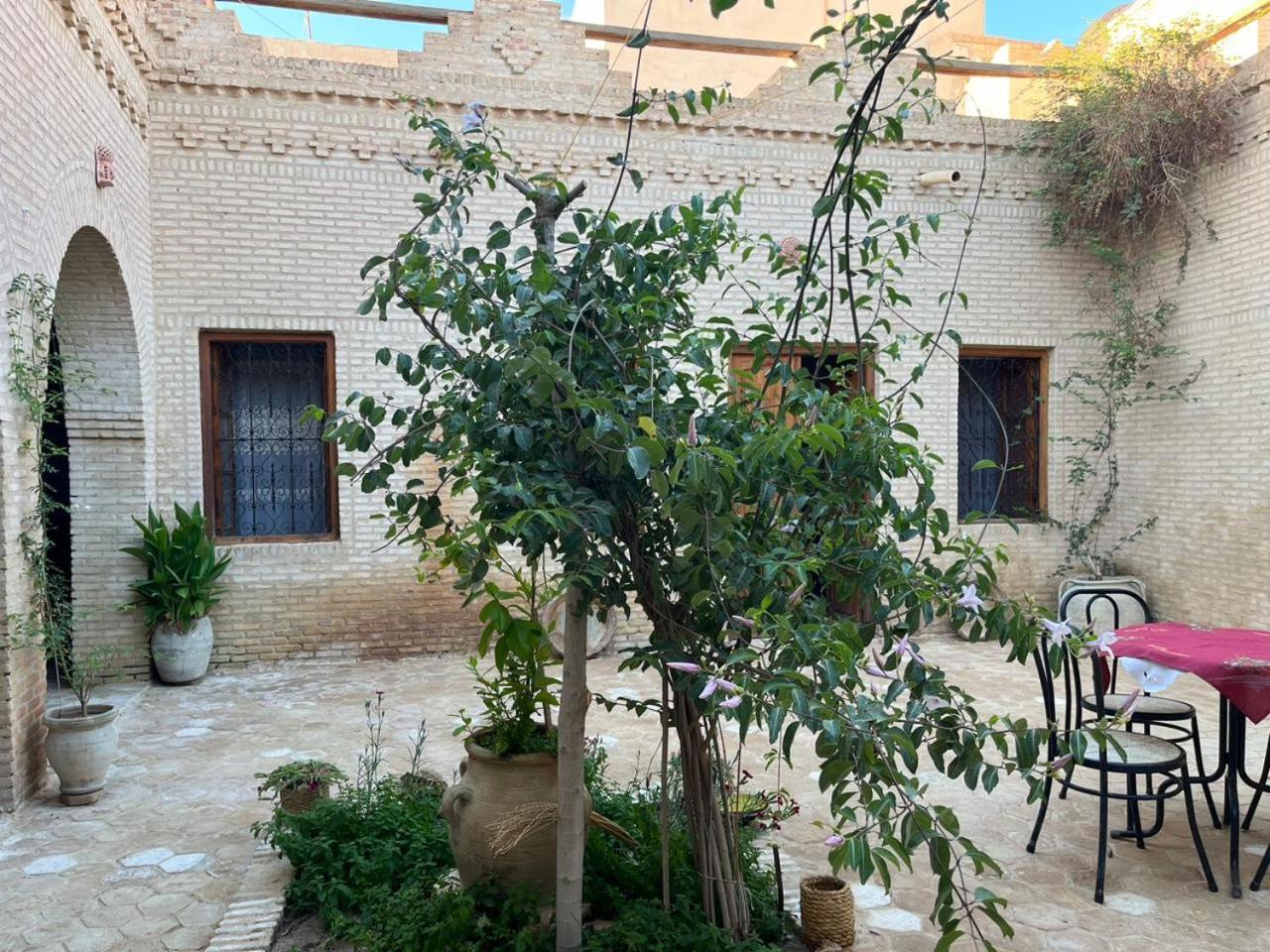 Maison De Vacances "Dar Khalifa" 托泽尔 外观 照片